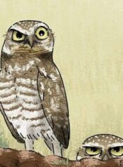 Screenshot_20251011-193210_Gallery