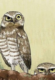 Screenshot_20251011-193210_Gallery